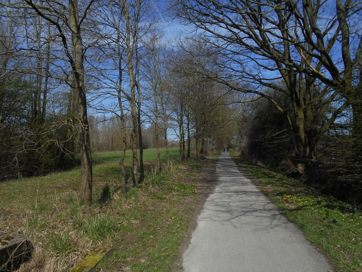 Vakantiehuis In Vlaamse Ardennen Zottegem Eksteriør billede
